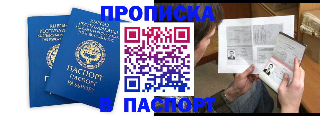 прописка гарантия в Фрязино