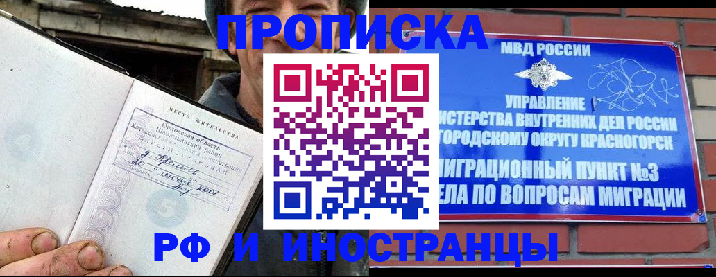 регистрация для школы в Фрязино